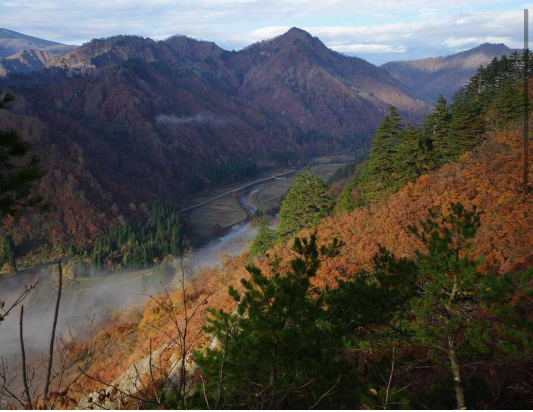 蒲生岳1