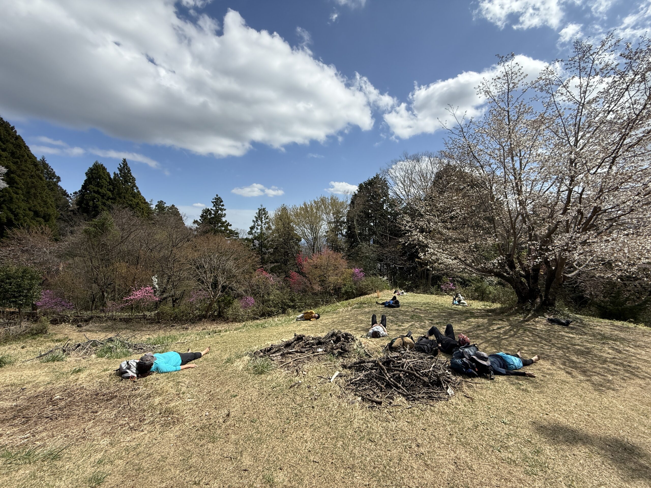 はだし登山部＠高尾山1