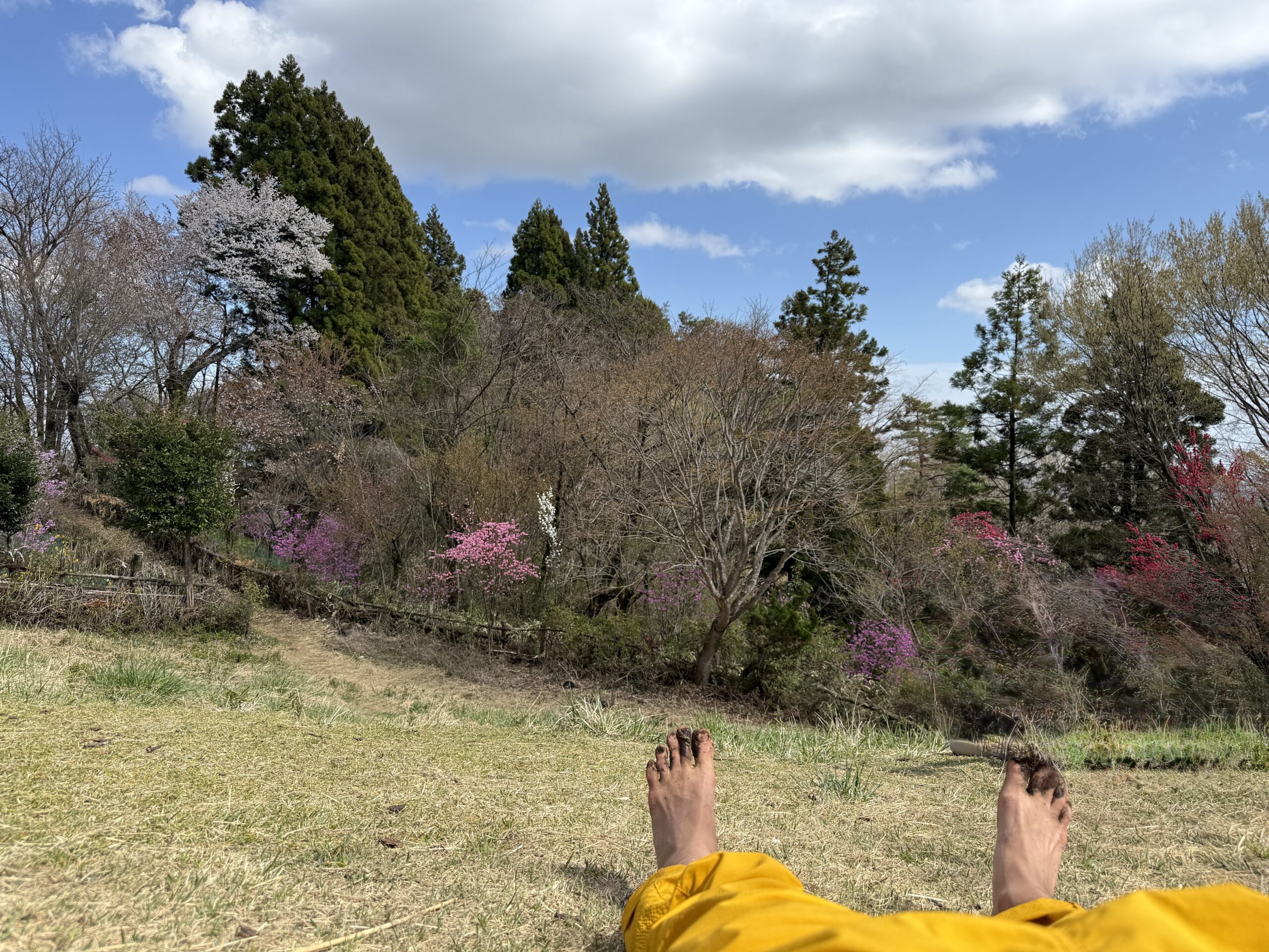 はだし登山部＠高尾山6