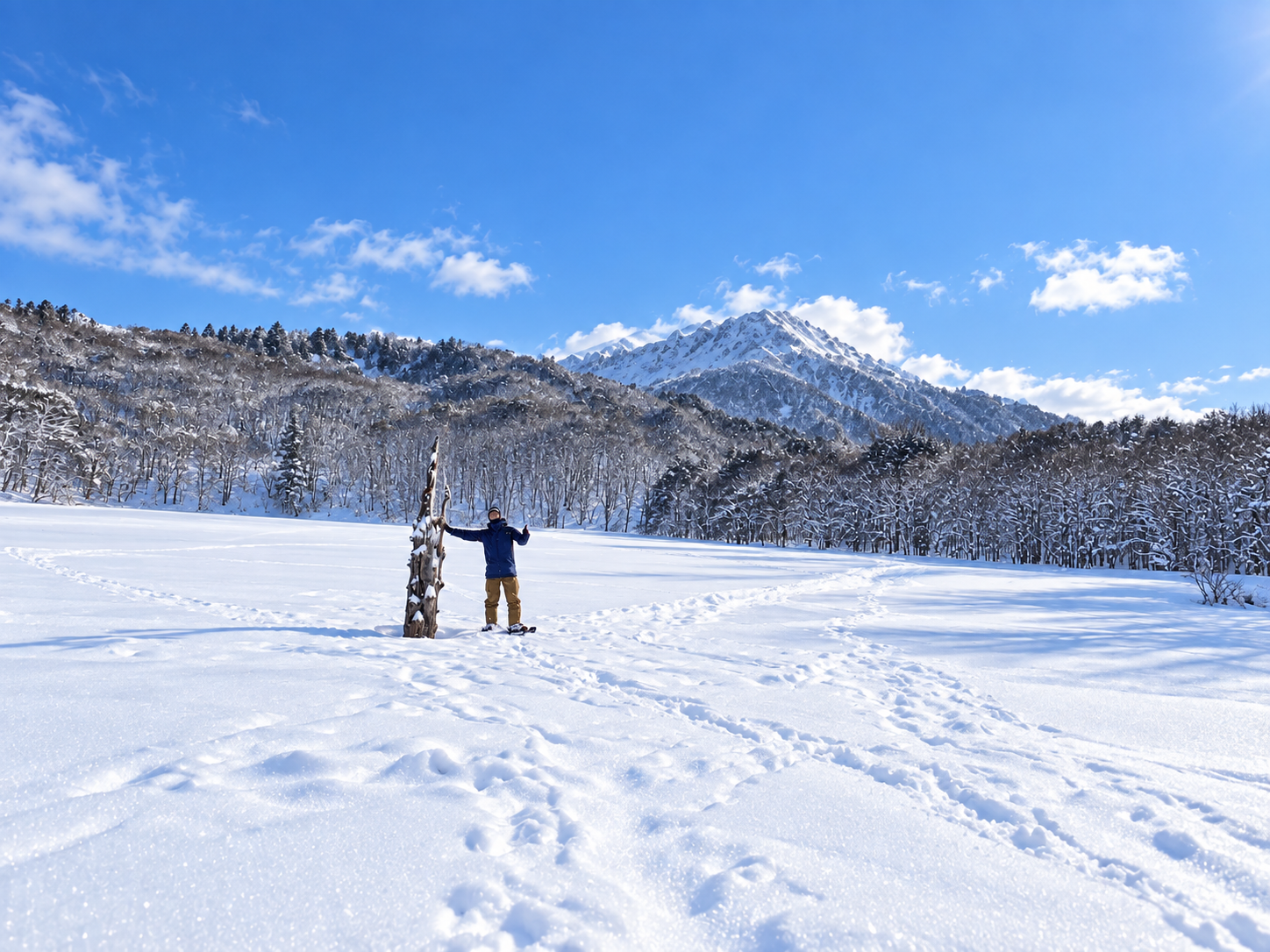 20270213 togakushi-snow