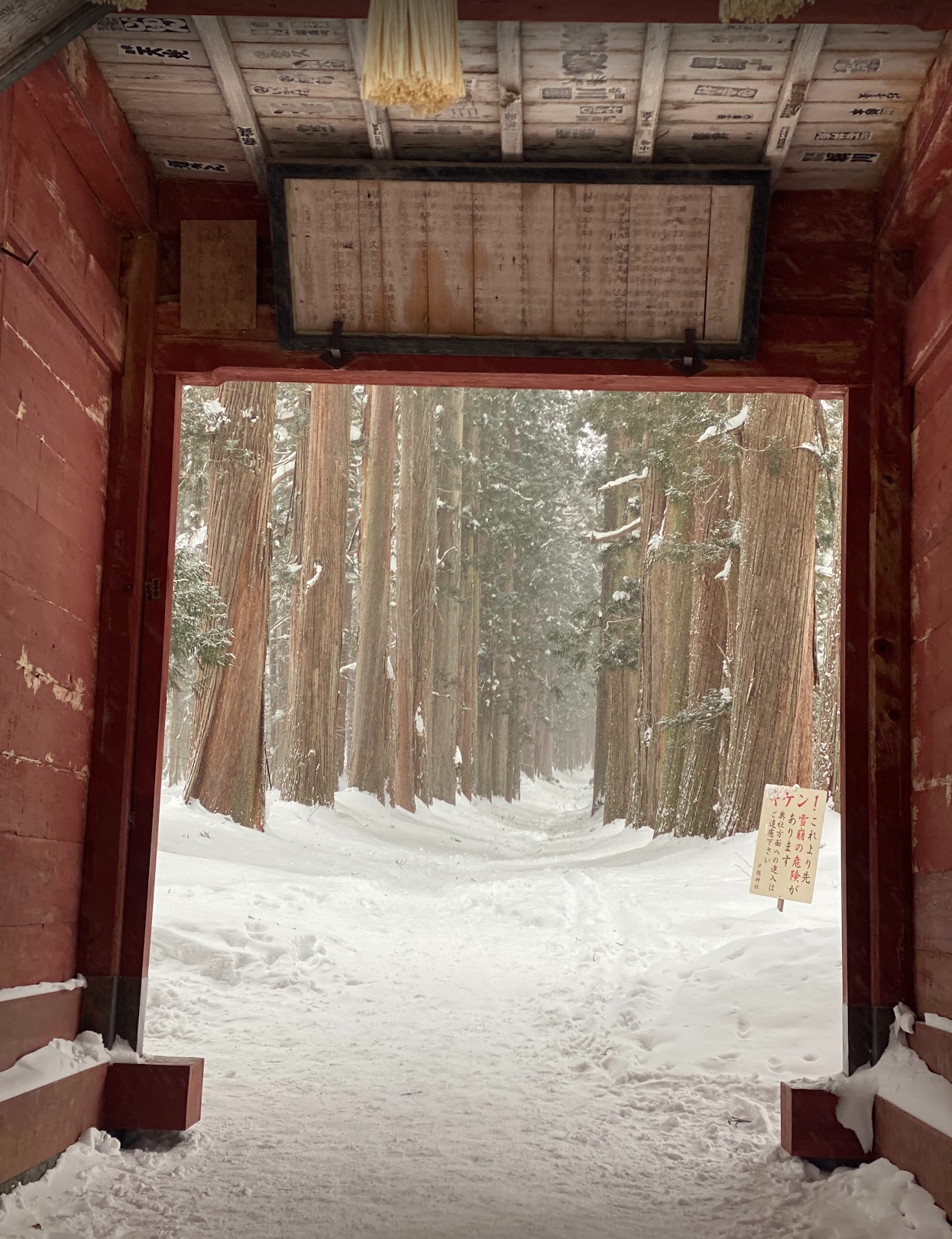 20270213 togakushi-snow6